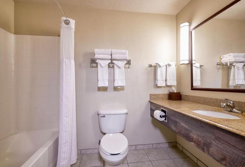 Номер Deluxe Кровать Кинг, Yellowstone Park