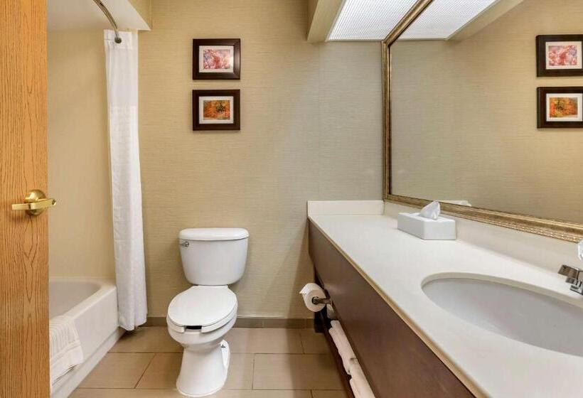 Номер Стандарт, Comfort Inn Charlotte