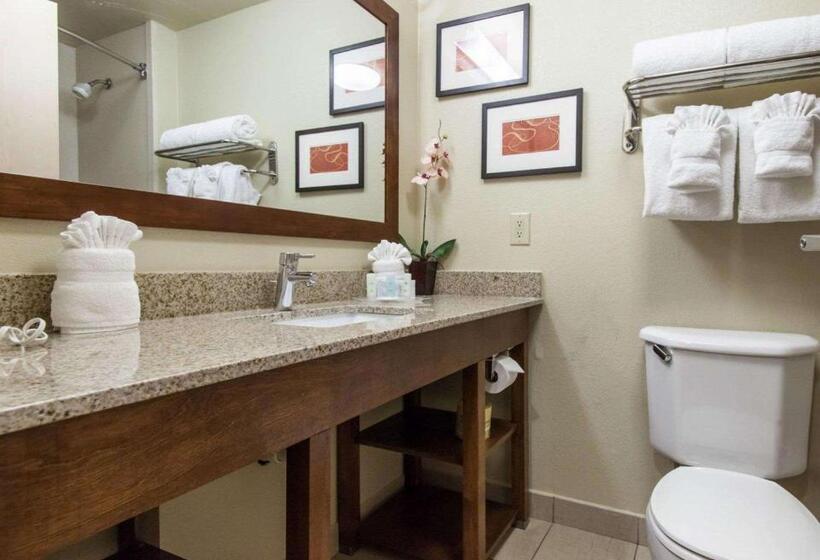 Люкс Кровать Кинг, Comfort Suites Central I 44