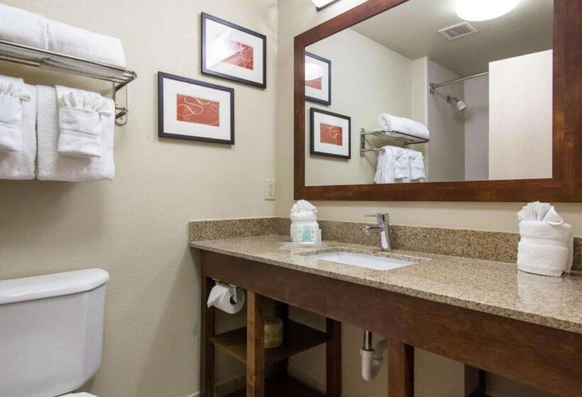 Люкс Кровать Кинг, Comfort Suites Central I 44