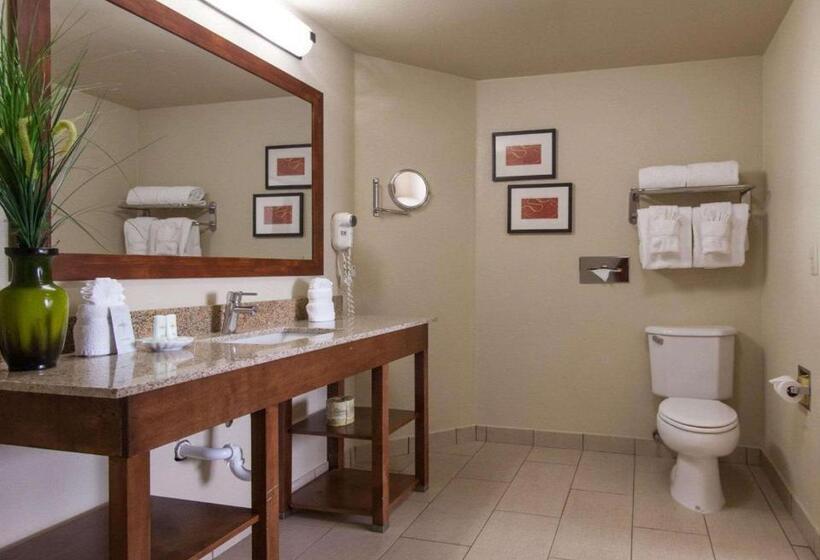 Люкс, Comfort Suites Central I 44