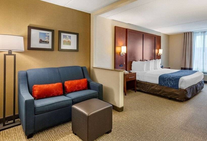 Люкс, Comfort Suites Manassas Battlefield Park