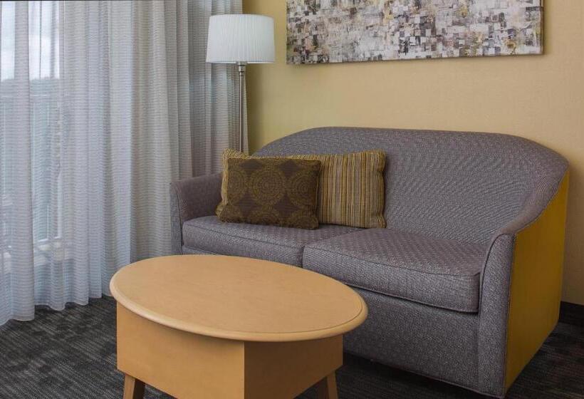 Camera Standard Letto King Accessibile ai persone con mobilità ridotta, Courtyard By Marriott Sandestin At Grand Boulevard