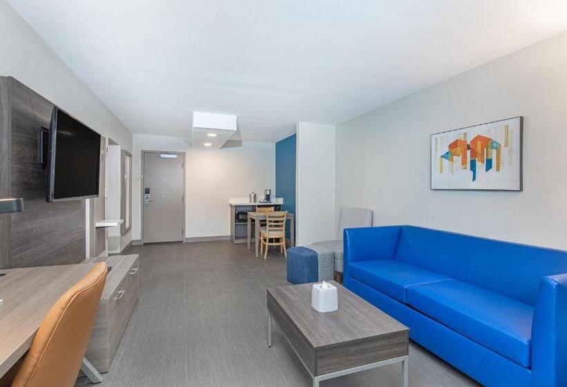 스위트 킹사이즈 침대, Holiday Inn Express Atlanta Airport   North By Ihg
