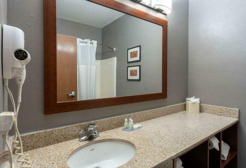 Suite Łóżko King Size, Quality Suites Ne Indianapolis Fishers