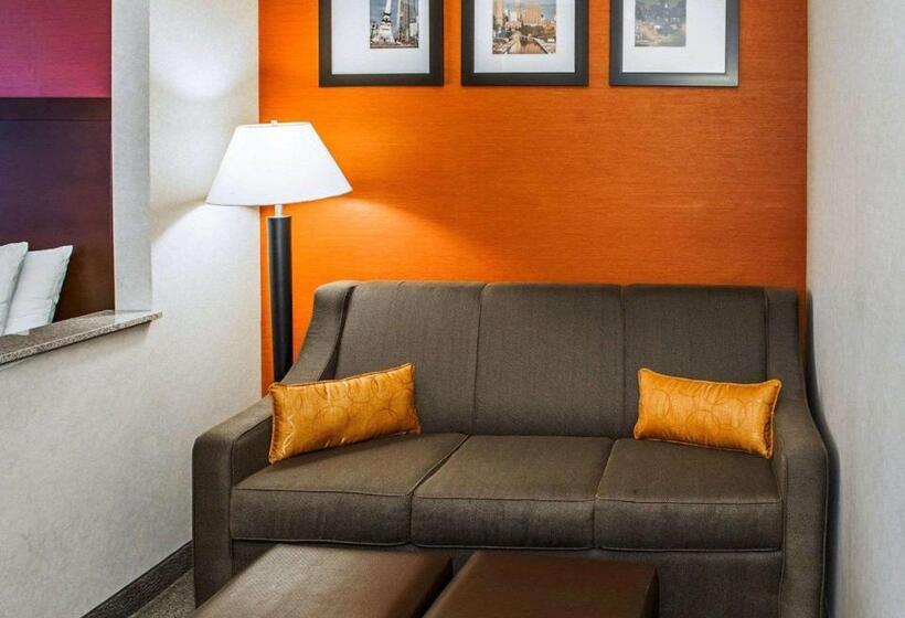 Suite Przystosowany dla Osób Niepełnosprawnych, Quality Suites Ne Indianapolis Fishers