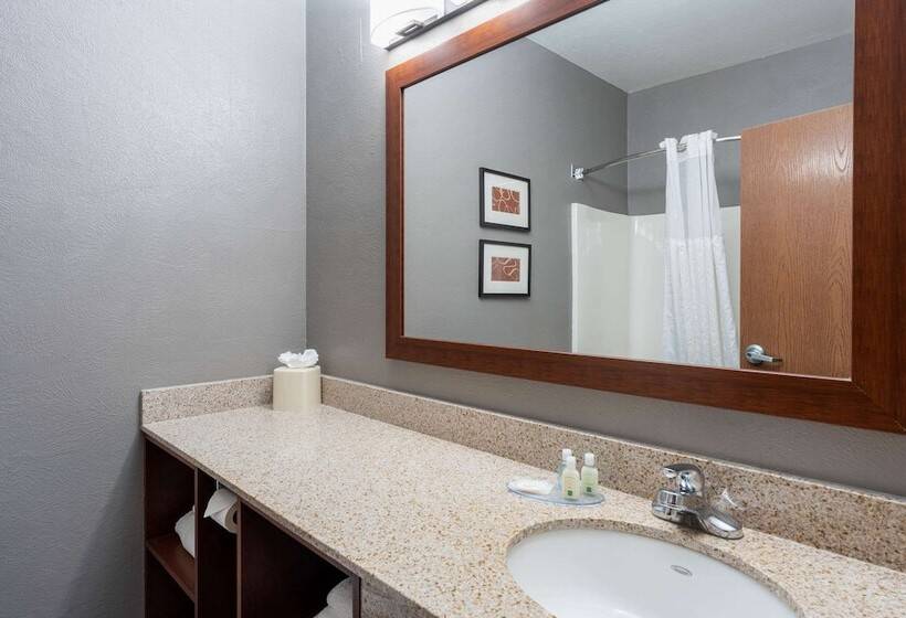 Suite Przystosowany dla Osób Niepełnosprawnych, Quality Suites Ne Indianapolis Fishers