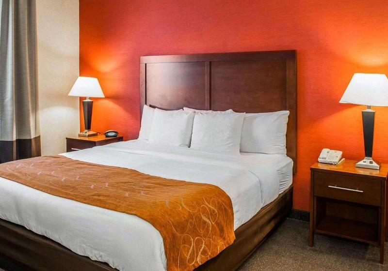 Suite Łóżko King Size, Quality Suites Ne Indianapolis Fishers