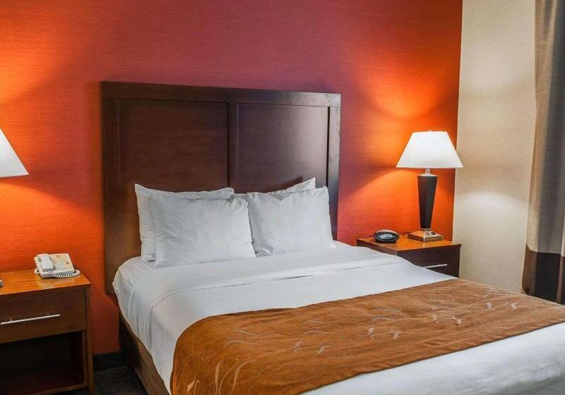 Suite Łóżko King Size, Quality Suites Ne Indianapolis Fishers