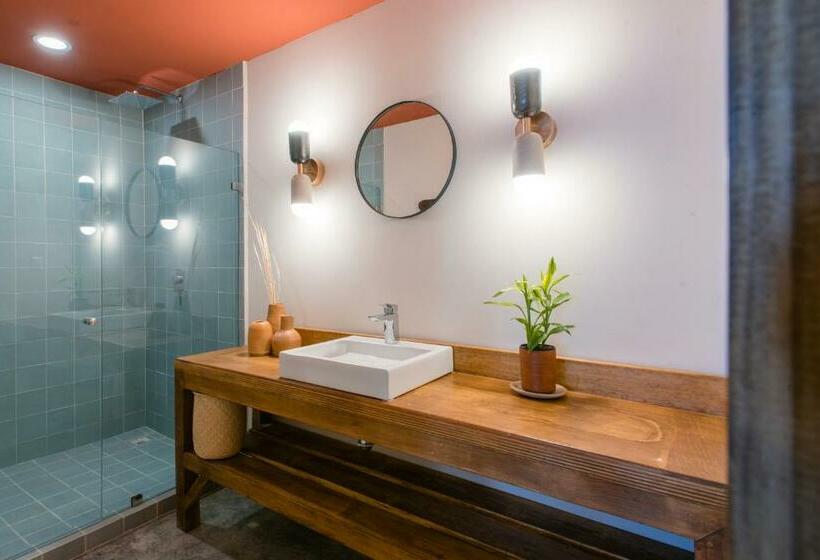 Apartamento 1 Dormitório, Olá Chapultepec