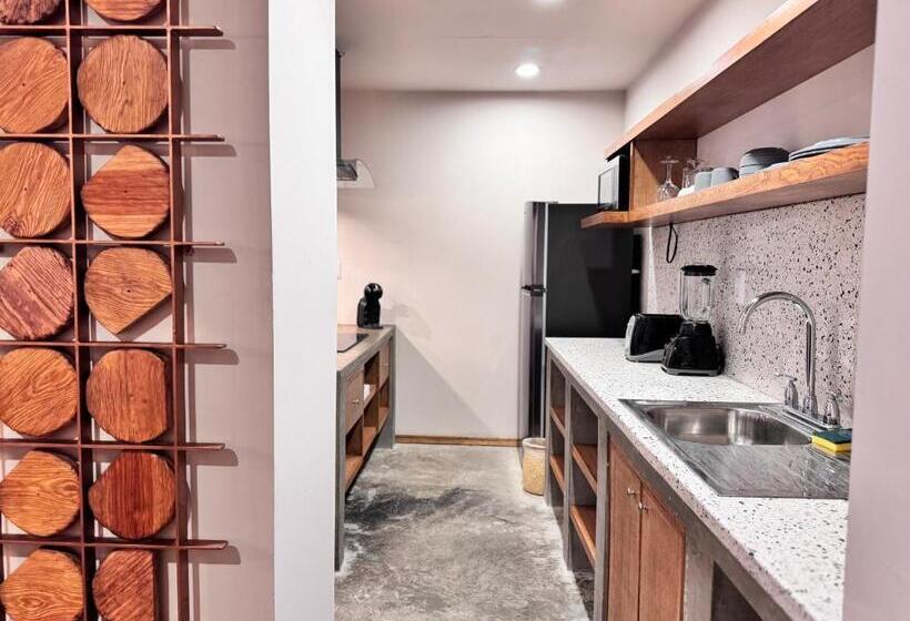 Apartamento 1 Dormitório, Olá Chapultepec