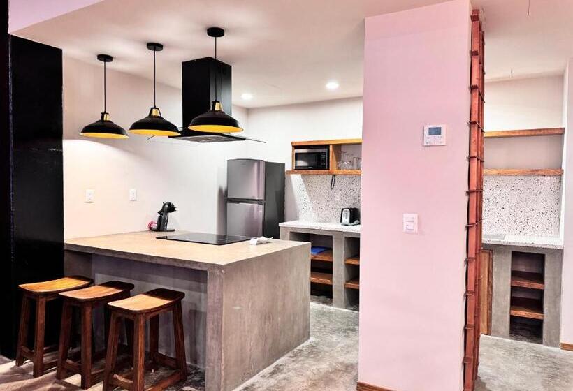 １ベッドルームアパートメント, Olá Chapultepec