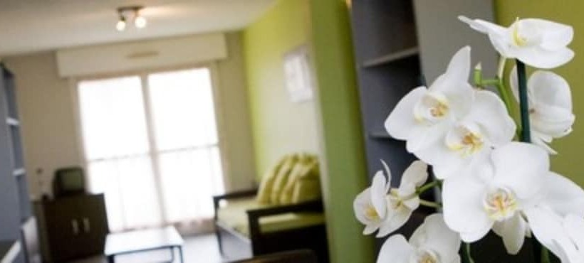 Apartamento 1 Dormitório, Appart Hotel Les Palatines