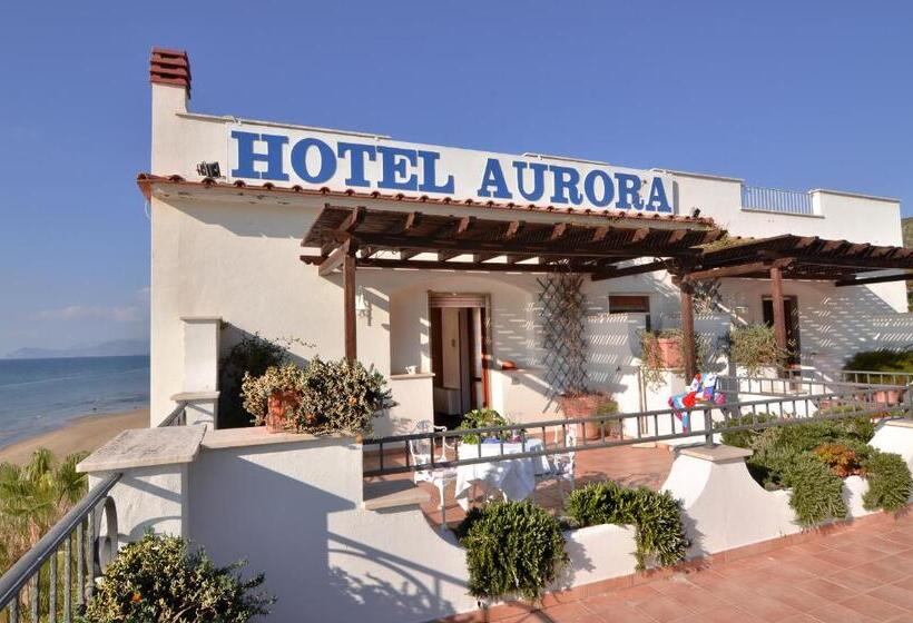 اتاق استاندارد با تراس, Aurora