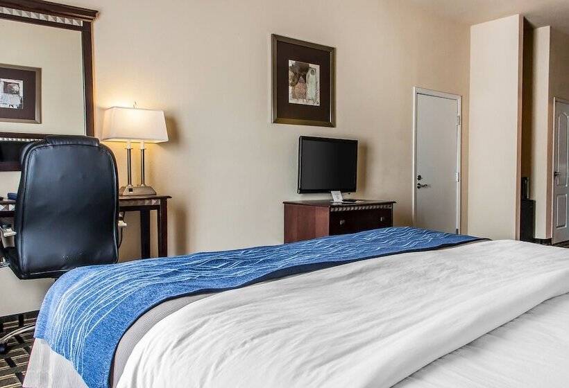 Люкс, Comfort Inn & Suites