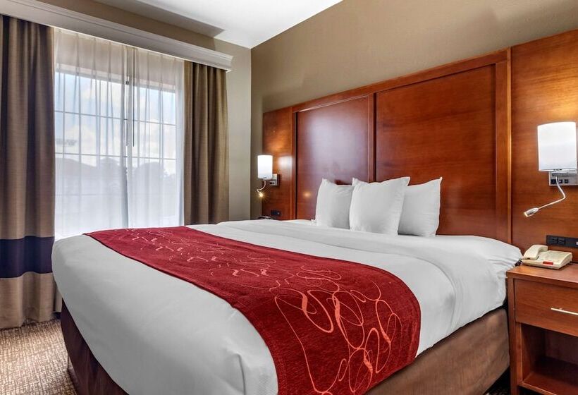 스위트, Comfort Suites Shreveport West I20