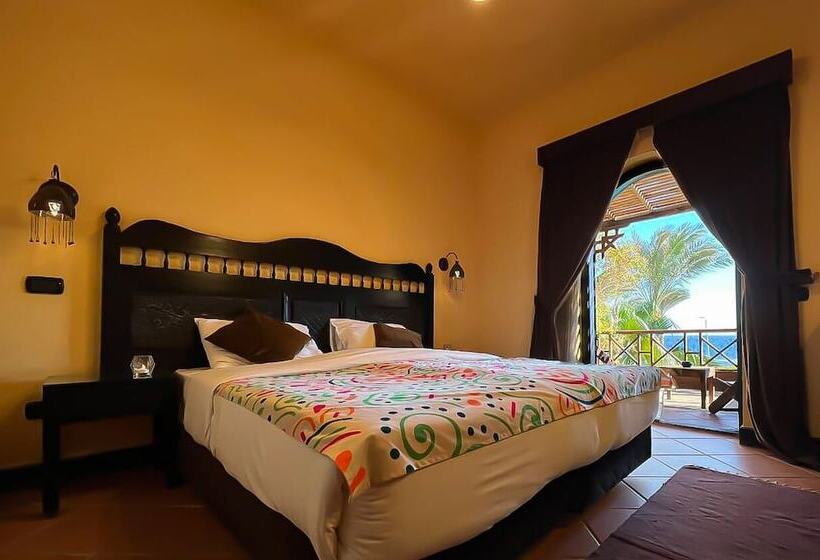 Номер Стандарт, Dahab Paradise
