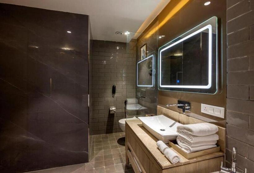 Полулюкс, Sarovar Portico Morbi