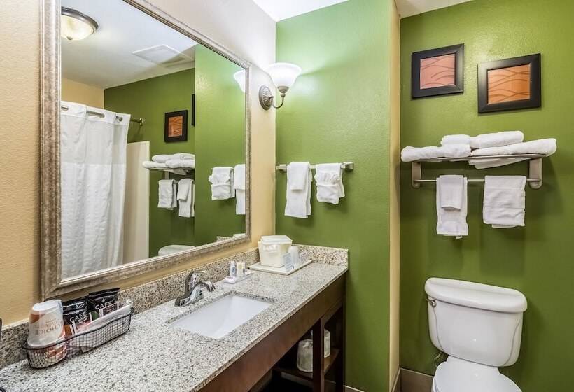 套房, Comfort Inn & Suites Panama City North