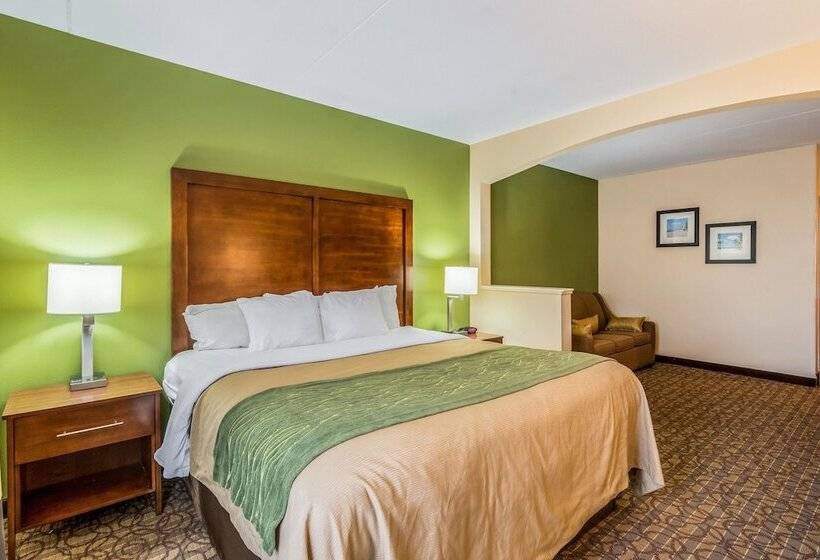 套房, Comfort Inn & Suites Panama City North