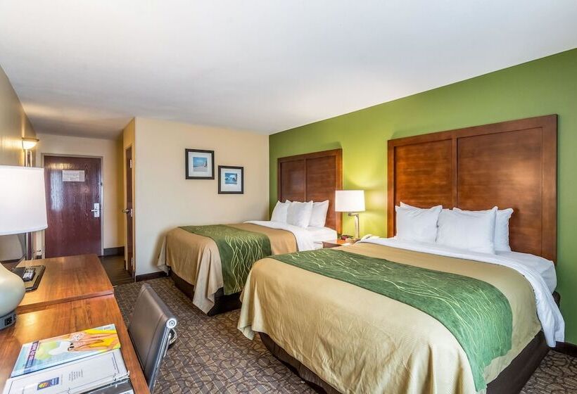套房, Comfort Inn & Suites Panama City North