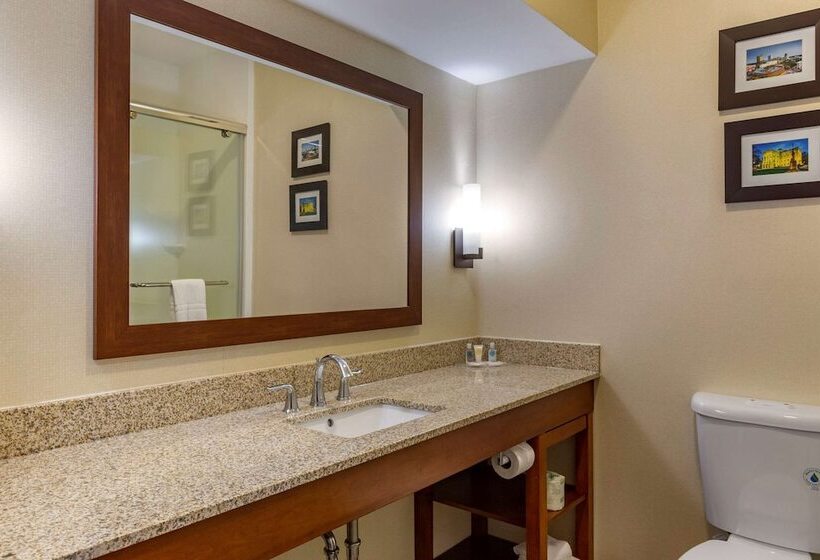 Люкс, Comfort Suites Raleigh Walnut Creek