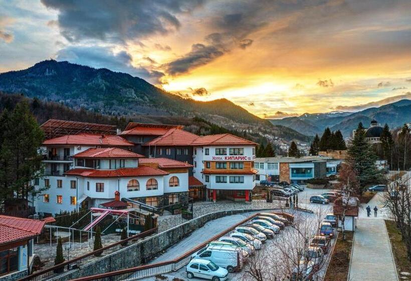 اتاق استاندارد یک نفره, Spa Hotel Kiparis