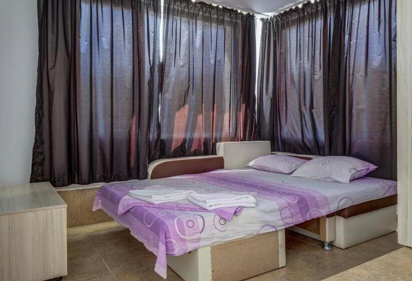 带观景的标准工作室, Saint George Hotel 1