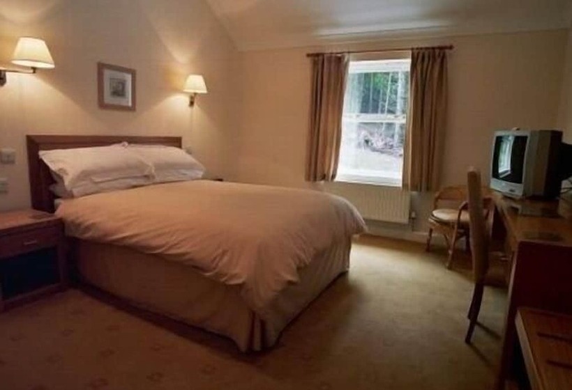 Номер Executive, Llwyn Onn Guest House