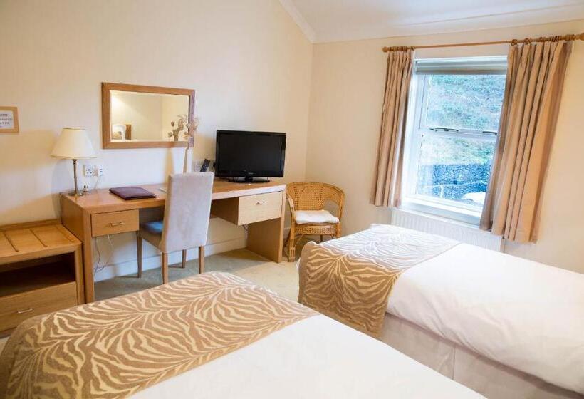 Номер Executive, Llwyn Onn Guest House