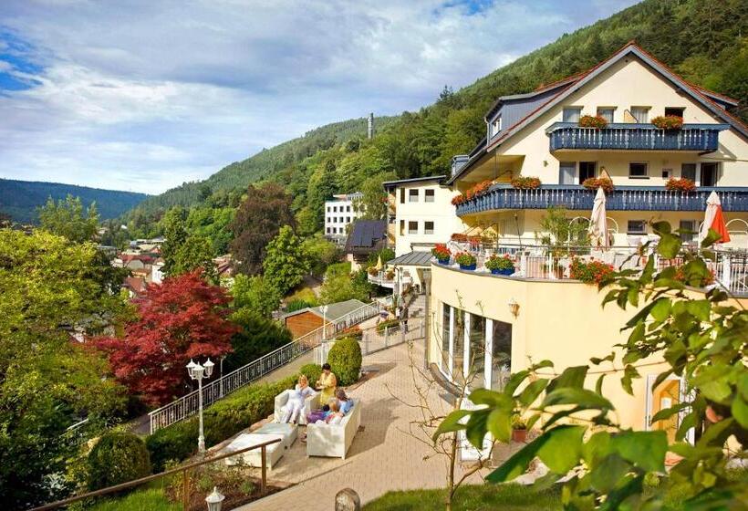 Номер Стандарт, Wellnesshotel Rothfuß Mit Spa Und 2 Schwimmbädern