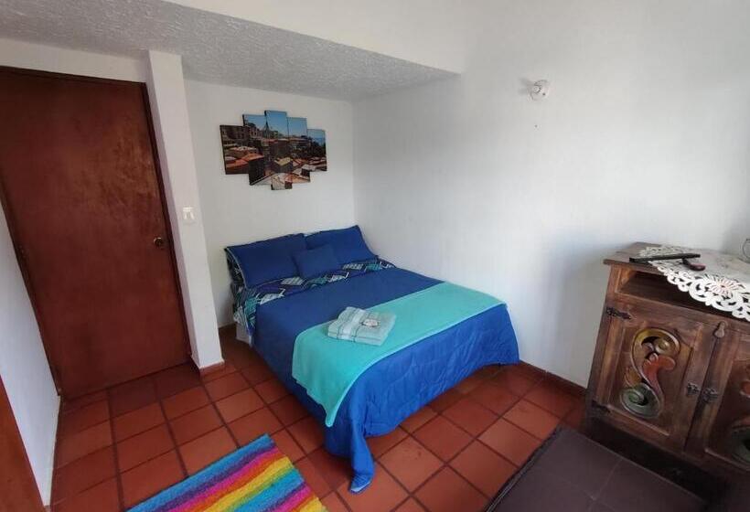 标准房带园景, Hospedaje La Casa De Chavela Centro Histórico