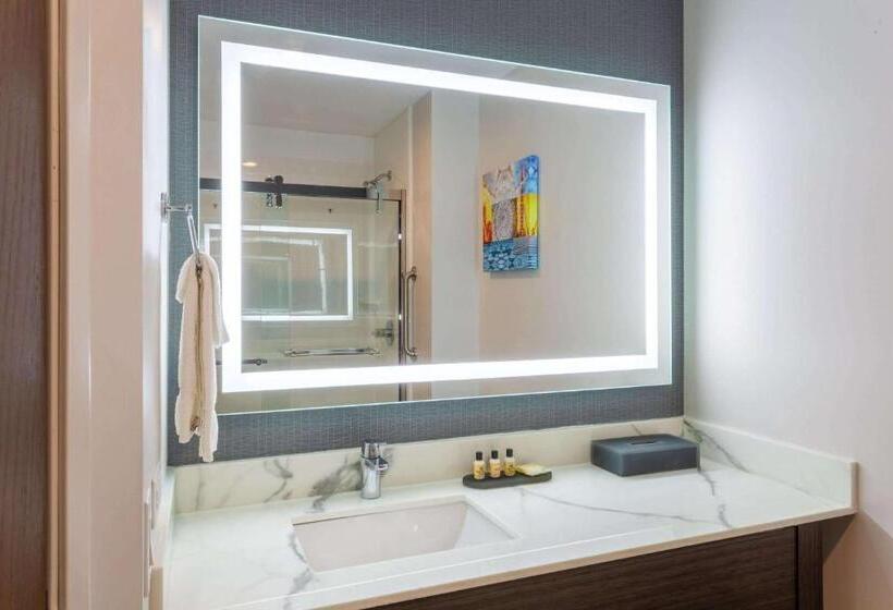 스탠다드 룸 킹사이즈 침대, La Quinta Inn & Suites By Wyndham Shorewood