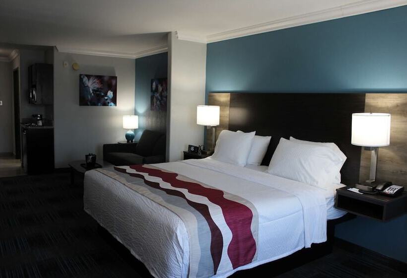 Suite, Best Western Medical Center North Inn & Suites Near Six Flags