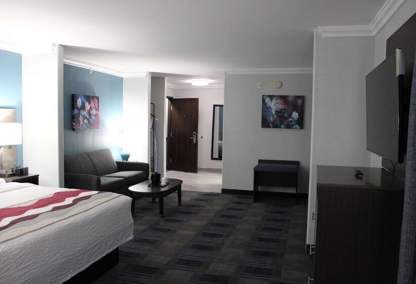 Suite, Best Western Medical Center North Inn & Suites Near Six Flags