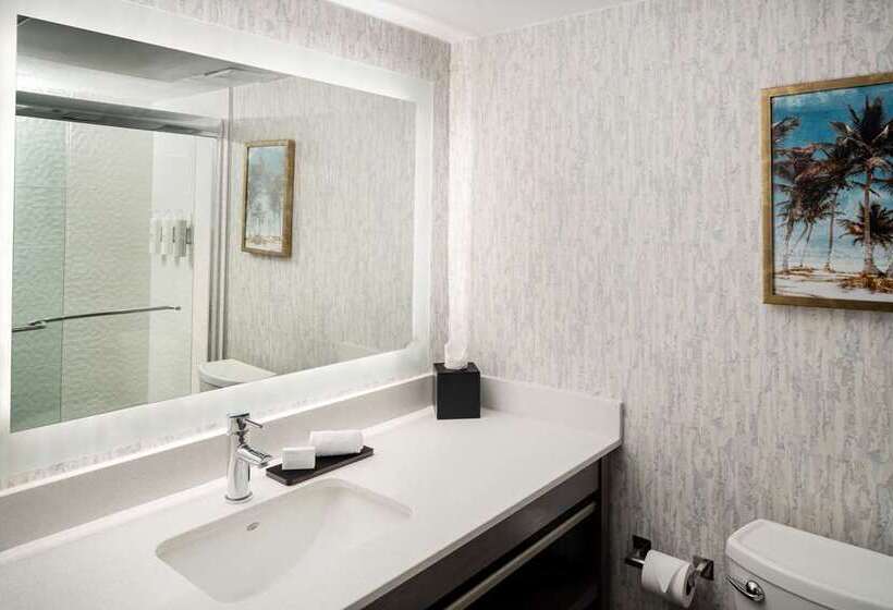 سوئیت با تخت بزرگ, Embassy Suites By Hilton Dorado Del Mar Beach Resort