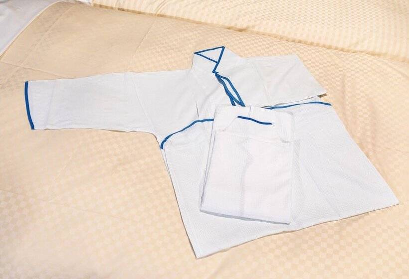 Номер Superior Одноместный, Ginza Capital Hotel Akane