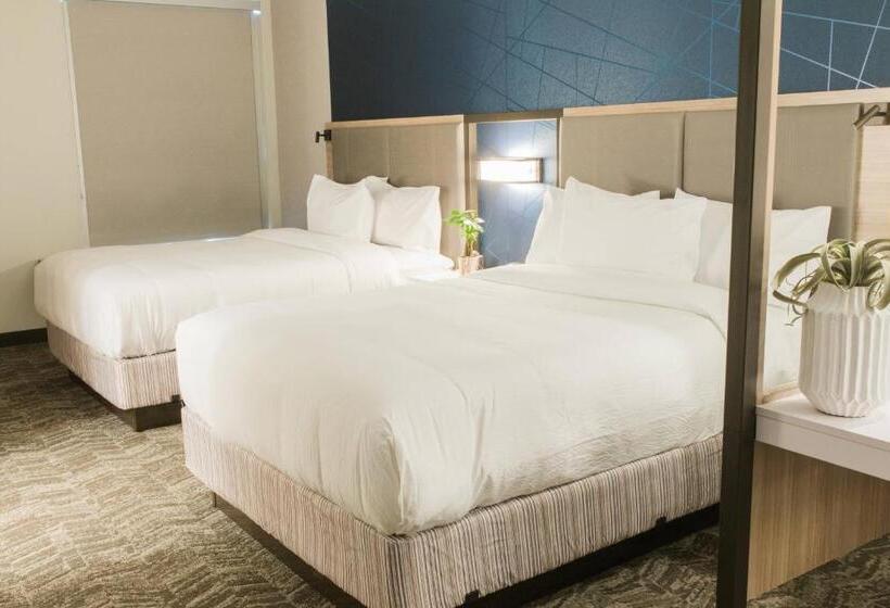 Люкс, Springhill Suites By Marriott Birmingham Gardendale