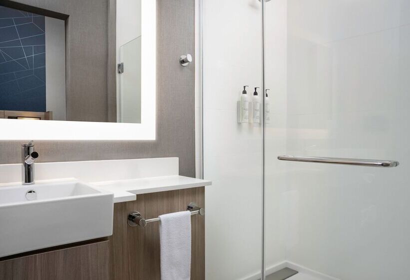 Люкс, Springhill Suites By Marriott Birmingham Gardendale