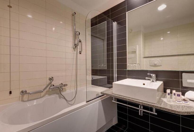اتاق استاندارد, Ih Hotels Roma Z3