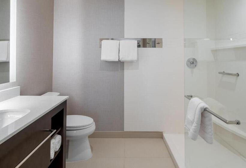 Люкс Кровать Кинг, Residence Inn By Marriott Lancaster Palmdale