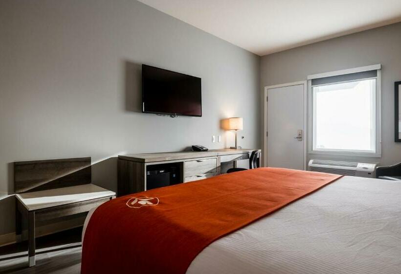 Стандартный Номер Кровать Кинг, Amsterdam Inn & Suites Florenceville