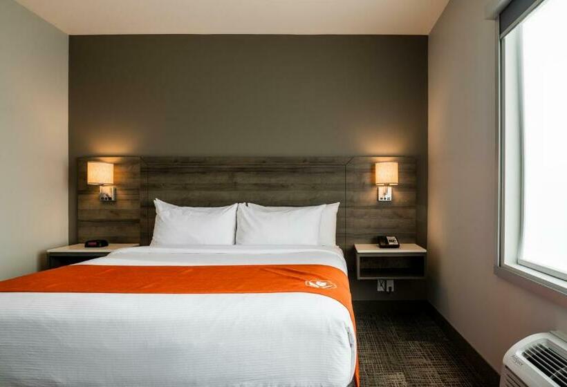 Люкс, Amsterdam Inn & Suites Florenceville