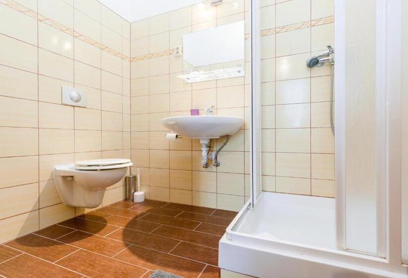 Номер Стандарт, Sherwood Hotel Vojkovice Nad Ohří