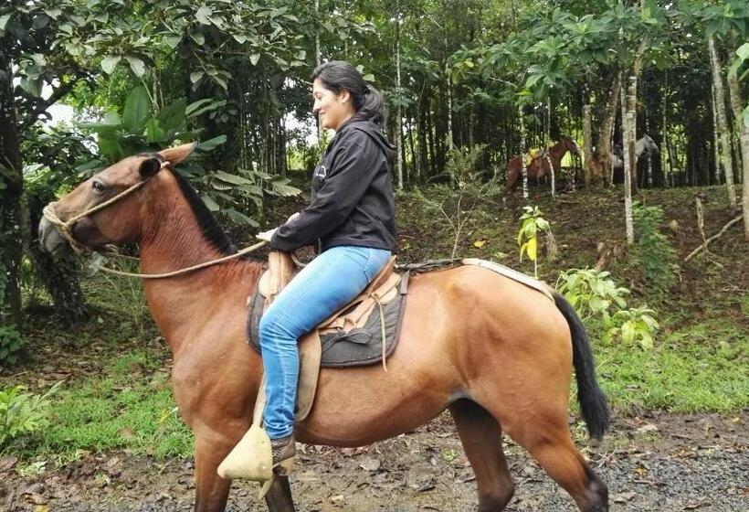 Номер Deluxe, Rio Celeste Finca L´ Etoile Celeste