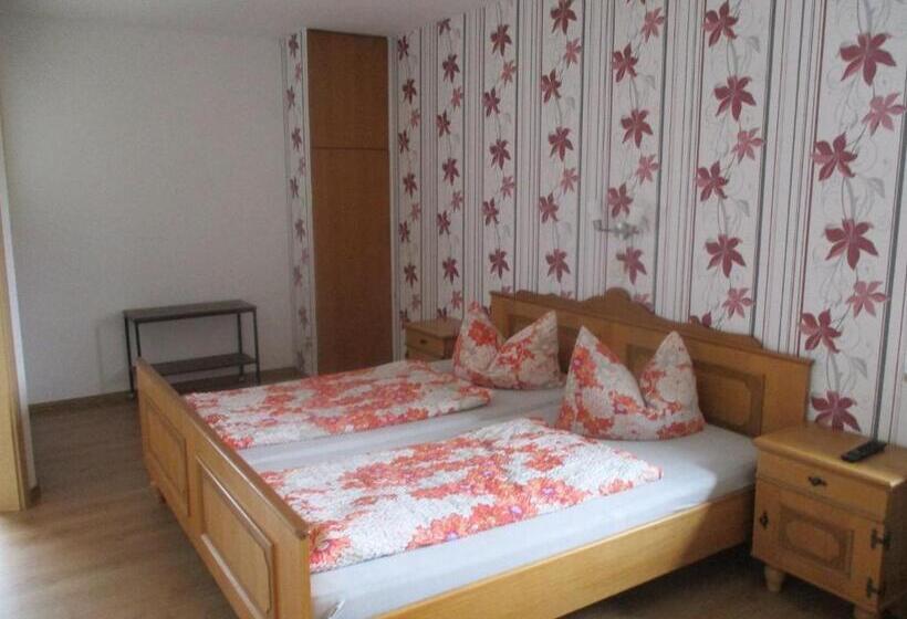 Номер Стандарт, Pension Erika