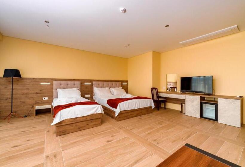 آپارتمان 1 خوابه با بالکن, Franca Hotel Ulcinj