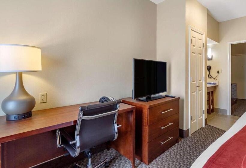 带大床的套房, Comfort Suites