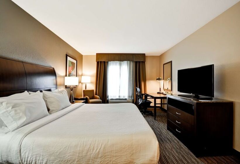 Номер Стандарт, Hilton Garden Inn Tampa North Busch Gardens