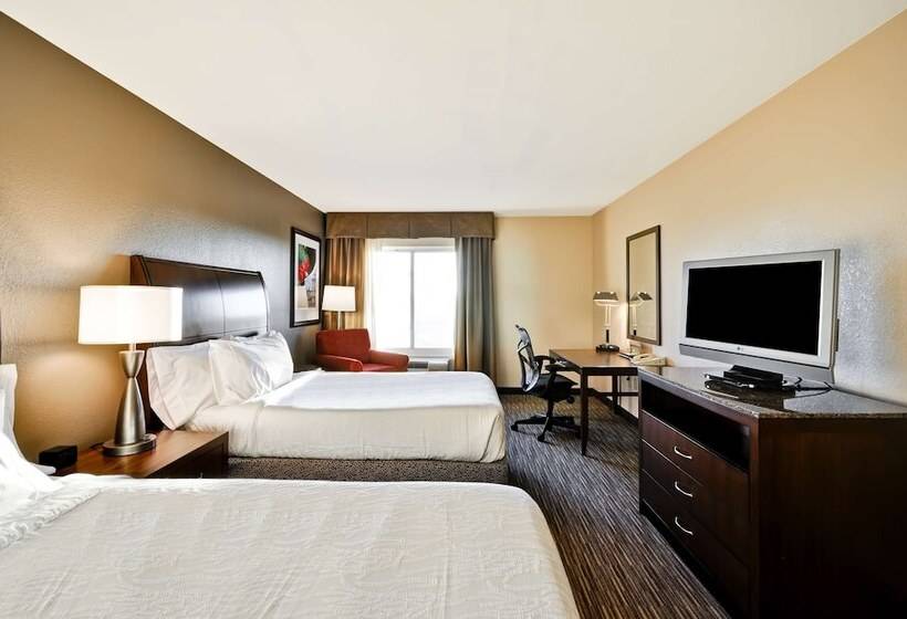 Номер Стандарт, Hilton Garden Inn Tampa North Busch Gardens